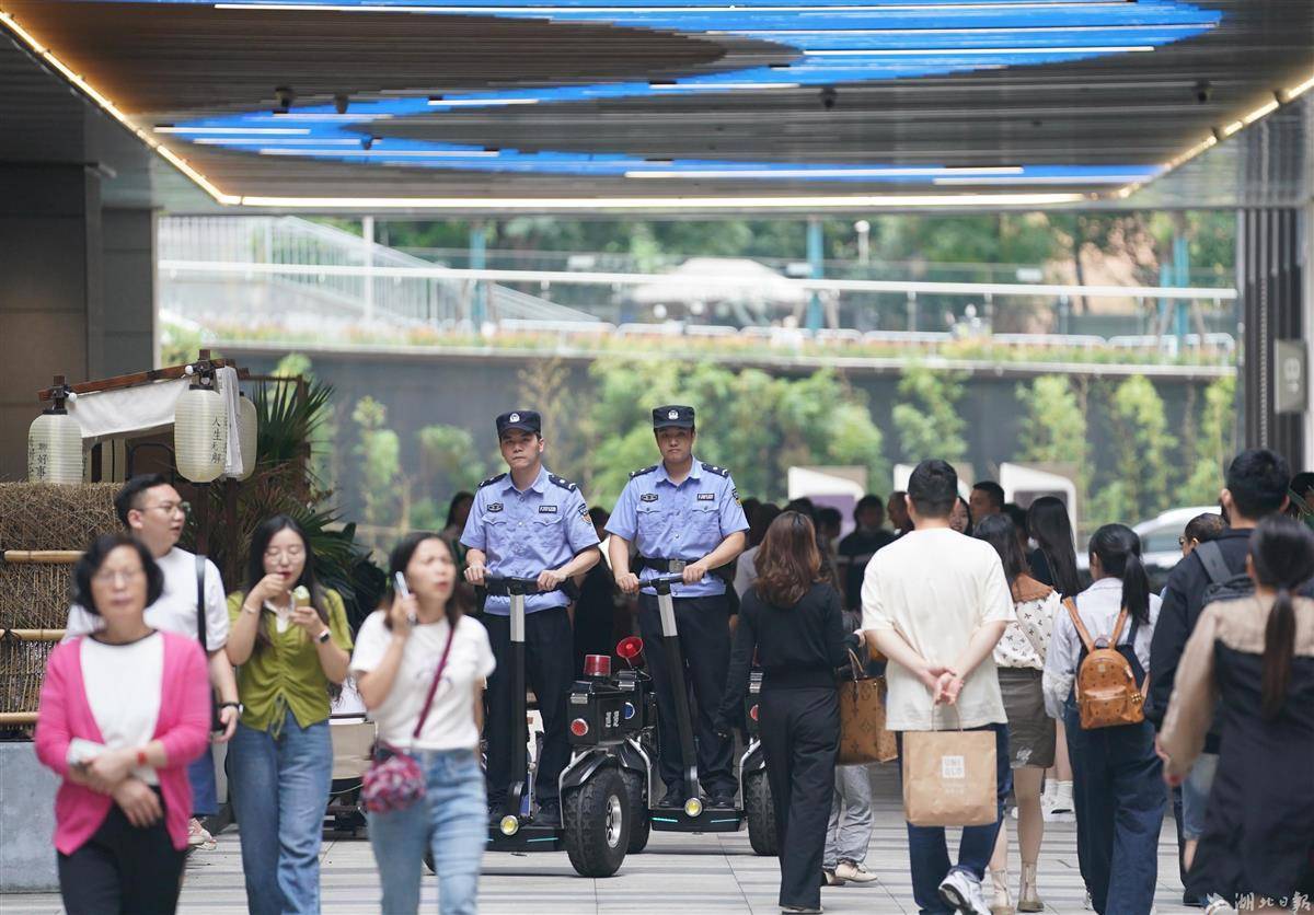 新世纪网域名